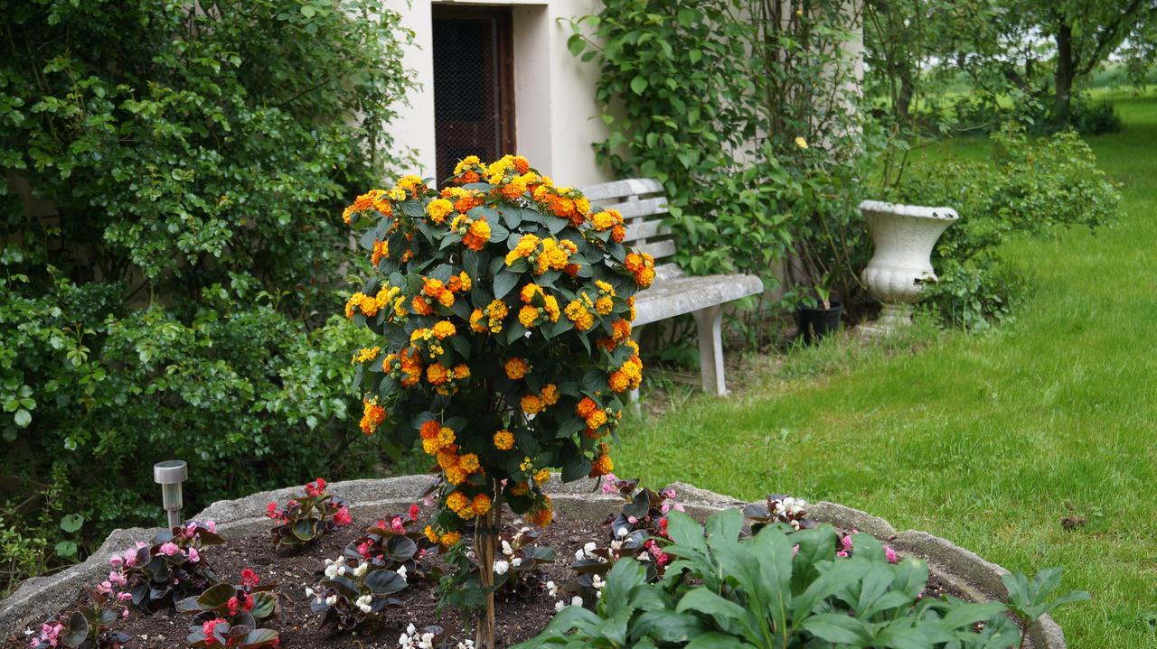Richzenhainer-Hof Waldheim Екстер'єр фото
